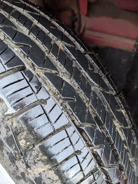 PXL_20250410_225305094_Original