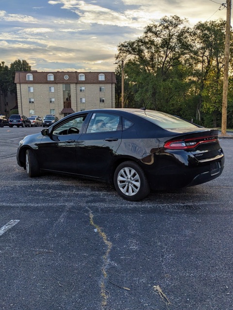 PXL_20251002_125323950 Copy