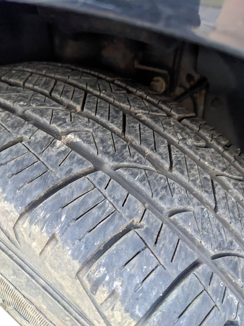 PXL_20251002_125541288_Original