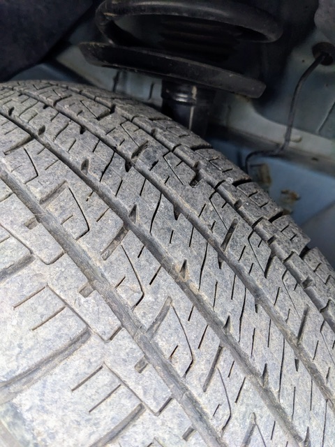 PXL_20251111_190606444 Copy