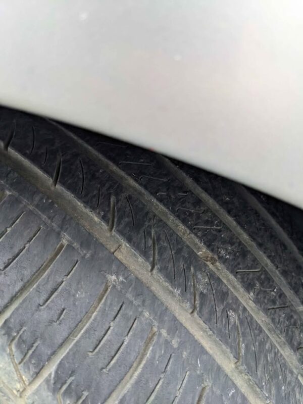 558161272_2660266964315848_4735498735965366542_n