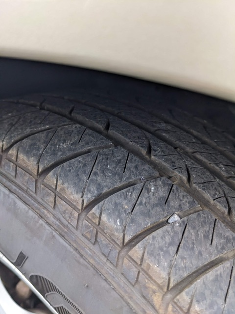 PXL_20251010_144919322_Original