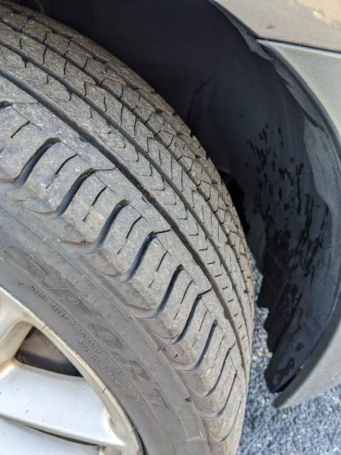 PXL_20251122_214751893_Original