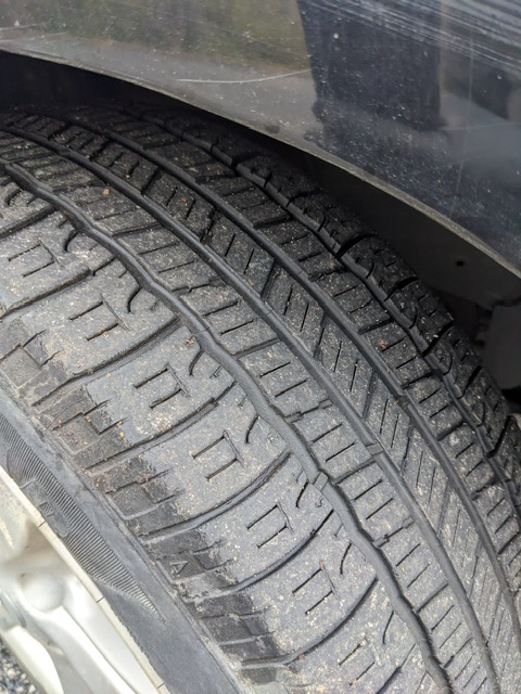 PXL_20251120_181424817_Original