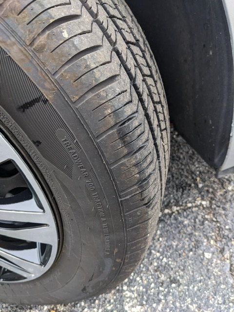 PXL_20251120_184652220_Original