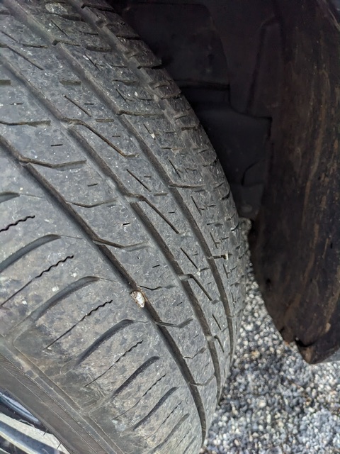 PXL_20251125_221503366_Original