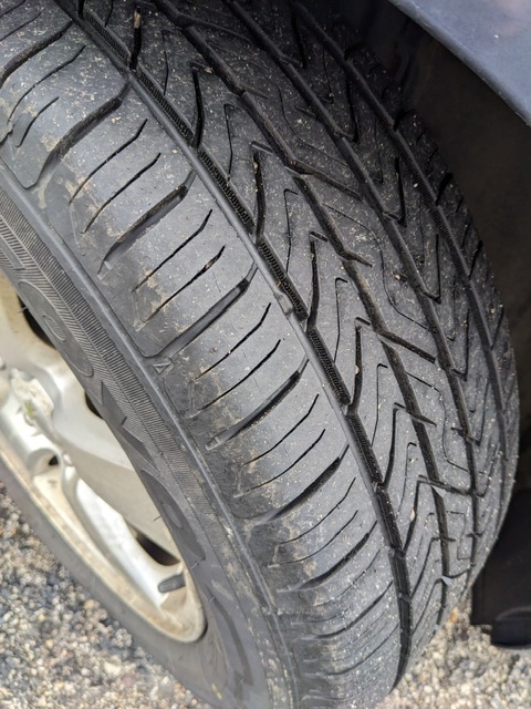 PXL_20260108_192104120_Original