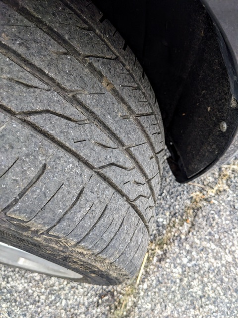 PXL_20260217_221525132 Copy